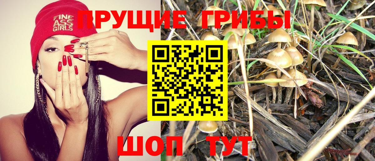 Качканар  Псилоцибиновые грибы MAGIC MUSHROOMS  Вход с VPN  Галлюциногенные грибы GOLDEN TEACHER 